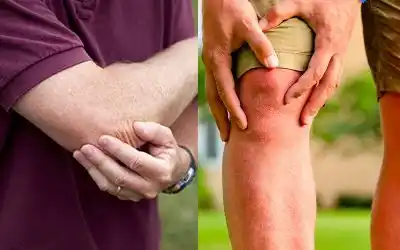 Joint Pain Support